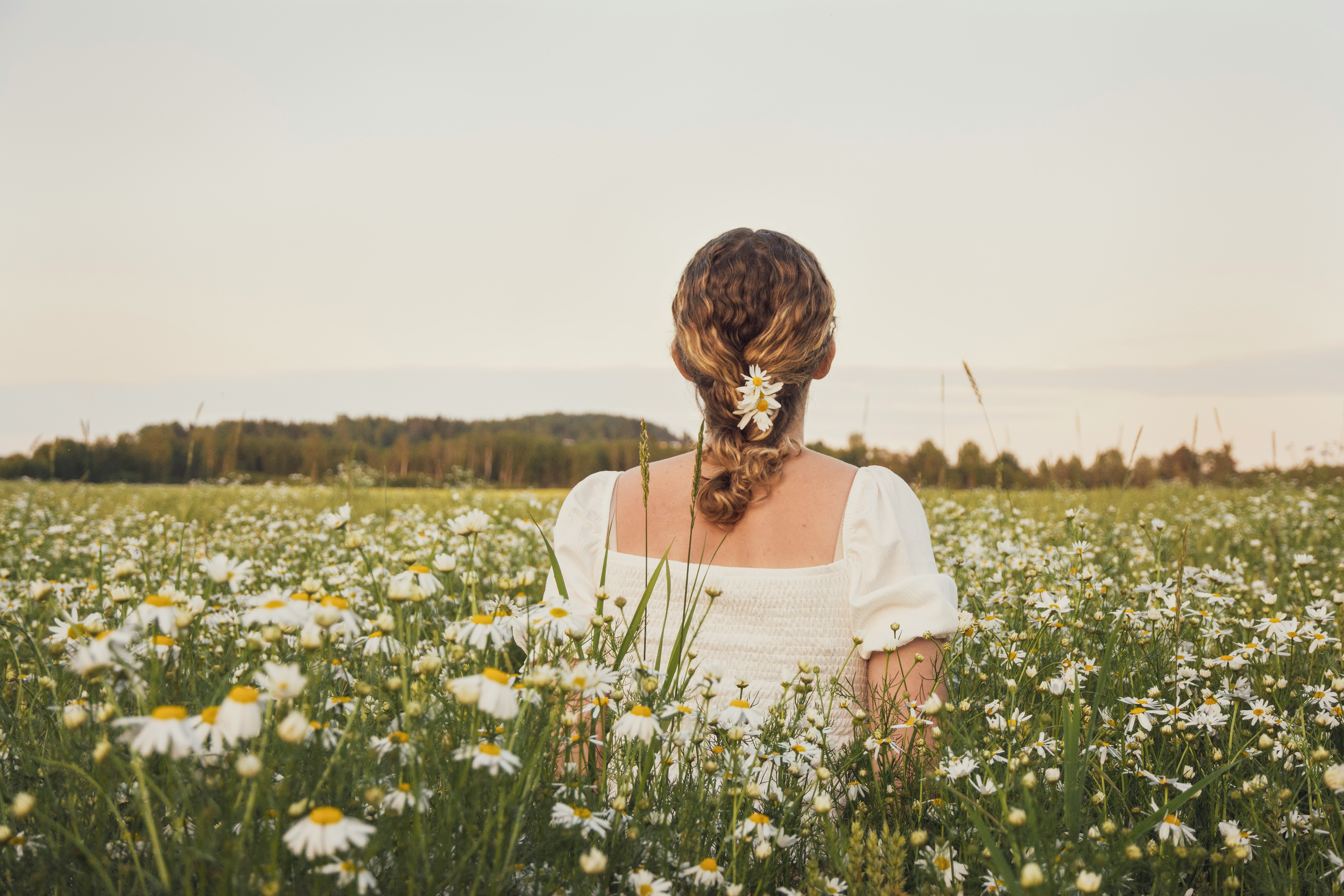 woman walking along a white aster flower field